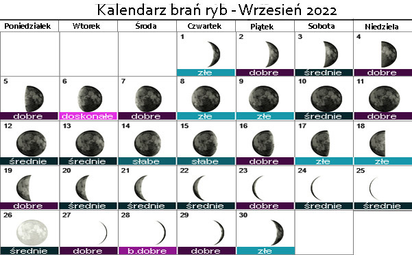 Kalendarz wędkarski brań ryb Wrzesień 2022