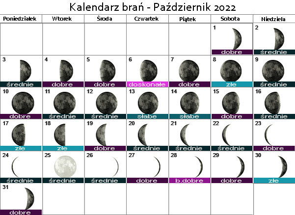 Kalendarz wędkarski brań ryb - Październik 2022